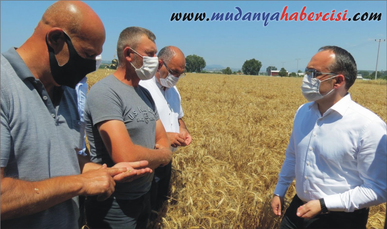 MUDANYA'DA HUBUBAT HASADI BALADI